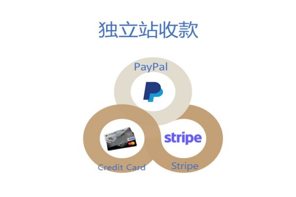 Website payment